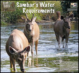 Sambar�s Water Requirements - page 58 Issue 69 (click the pic for an enlarged view)